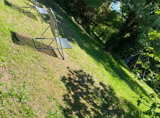 Les Orchidees * Saint-Cybranet